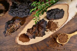 Beatrice Society - Chaga mushrooms on wooden board