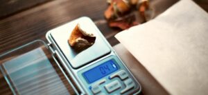 microdosing psilocybin