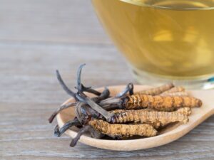 Beatrice Society - Ophiocordyceps sinensis or cordyceps mushrooms