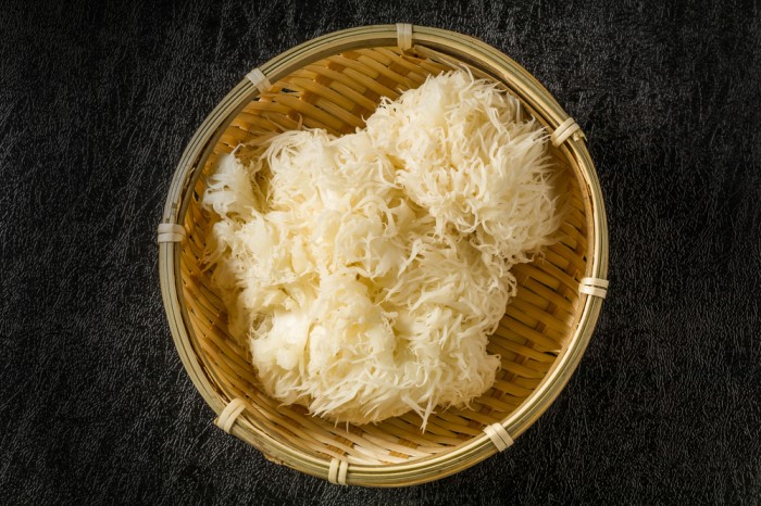 Beatrice Society - Lion's mane mushrooms in a bowl