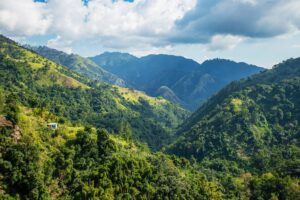 Beatrice Society - Mountains in Jamaica, where psilocybin tourism is on the rise