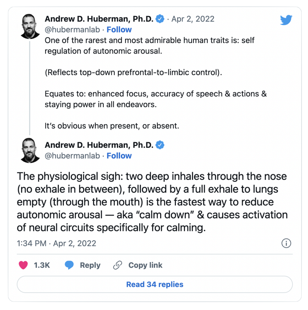 Andrew Huberman - breathwork techniques