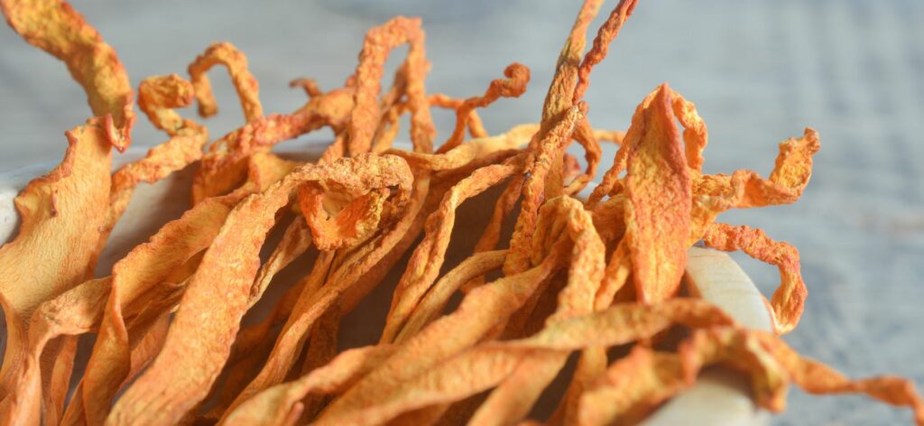 Cordyceps functional mushroom